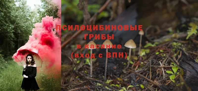 блэк спрут tor  Верхняя Салда  Псилоцибиновые грибы Psilocybe  хочу наркоту 